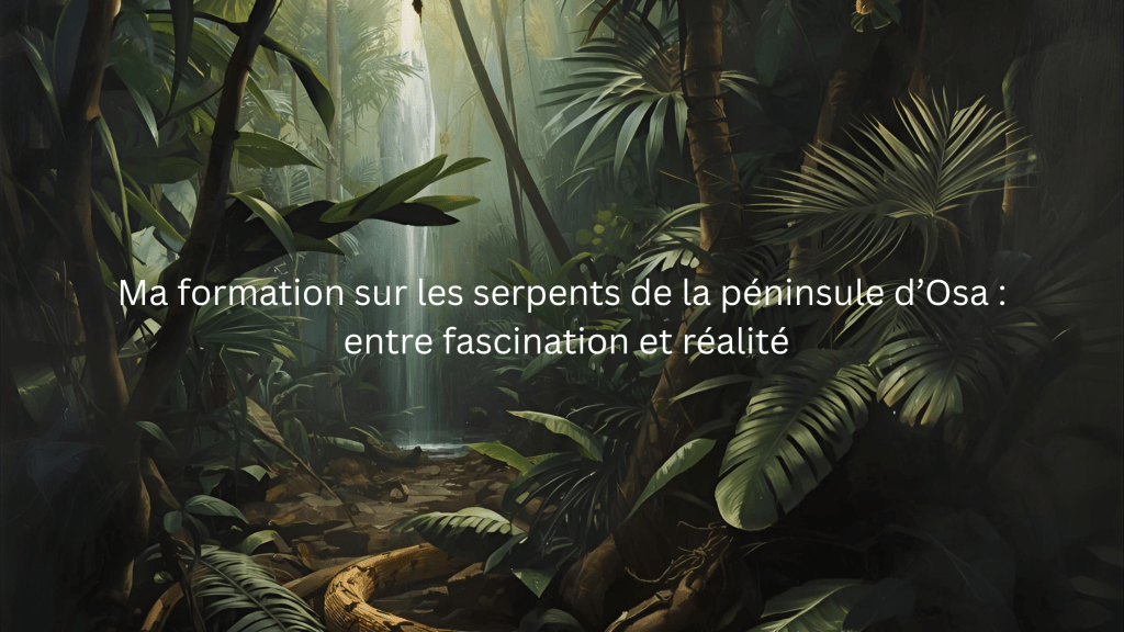 Serpents du Costa Rica